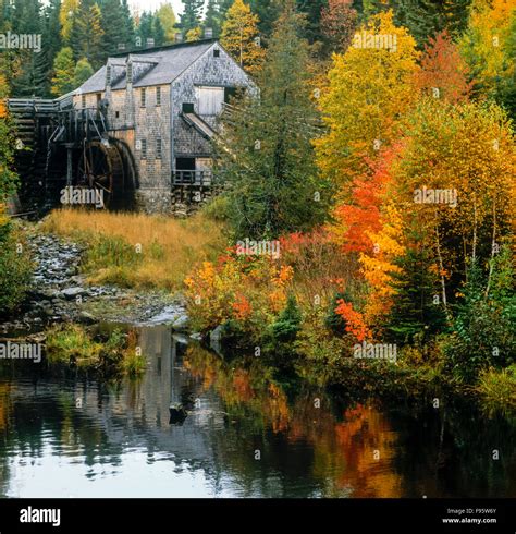 Sawmill Kings Landing Historical Settlement Saint John River New