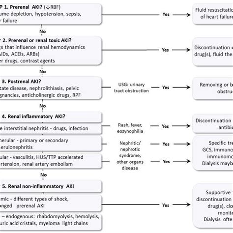 Pdf Acute Kidney Injury Its Definition And Treatment In Adults