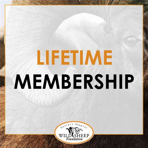 Lifetime Membership | Eastern Chapter Wild Sheep Foundation