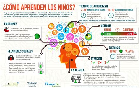 Estas Son Las Catorce Sugerencias De Las Neurociencias Para Los Docentes