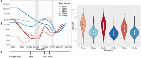 Demographic History Of Common Bottlenose Dolphin Populations A