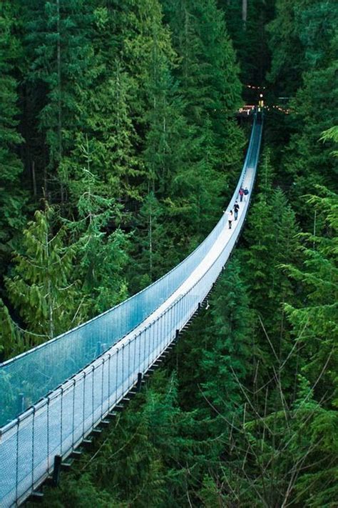 Capilano suspension bridge – Artofit