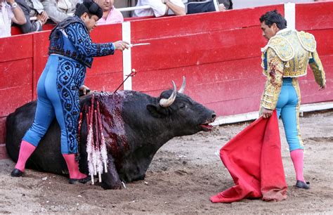 19 Facts About Bullfighting