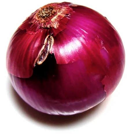 Maharashtra A Grade Organic Red Onion Onion Size 50 Mm At Rs 13 Kg In