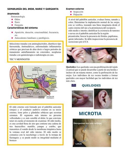 Tema Semiolog A Otorrinolaringologia Semiolog A