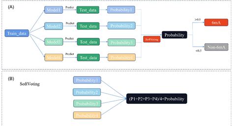 Figure 2 From SoftVoting6mA An Improved Ensemble Based Method For