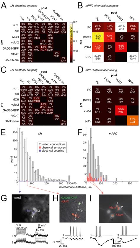 Analysis Of Connectivity Recordings In Lh And Mpfc A Overall Synaptic