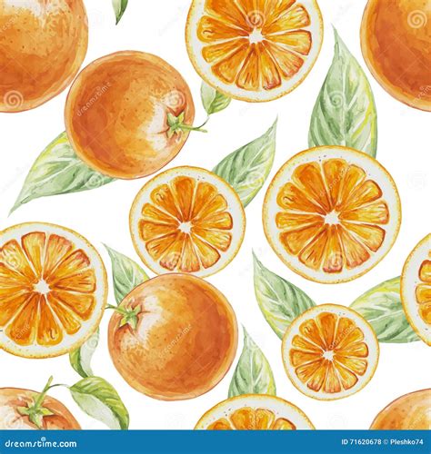 Watercolor Seamless Pattern Of Orange Fruit With Leafs Stock Vector