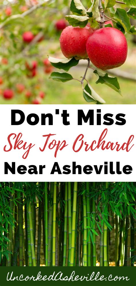 Delicious Apple Orchards In Hendersonville Nc Uncorked Asheville