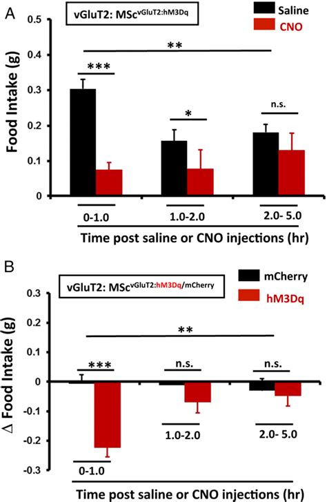 Figure From Appetite Suppressive Role Of Medial Septal Glutamatergic