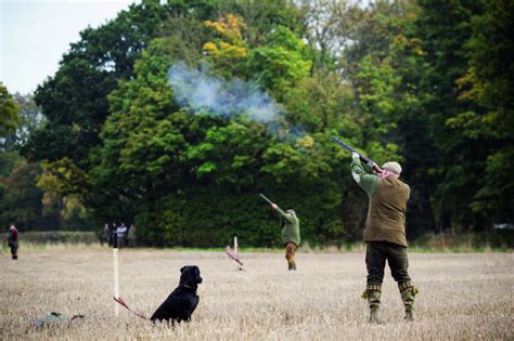 Better Pheasant Shooting Tips Shooting UK