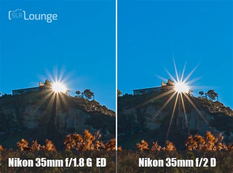 Nikon 35mm Vs 50mm Informacionpublicasvetgobgt