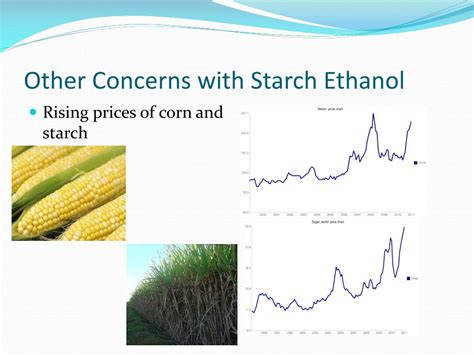 Ppt The Fuel Of The Future Starch Ethanol Vs Cellulosic Ethanol