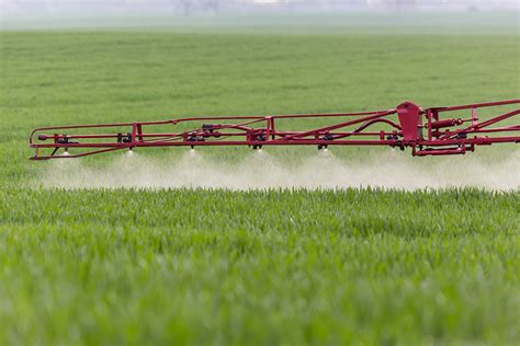 Tips To Limit And Manage Herbicide Resistance