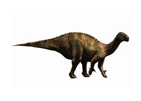 Lurdusaurus | Description, Size, Fossil, Diet, & Facts