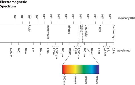 Wavelength Of Light