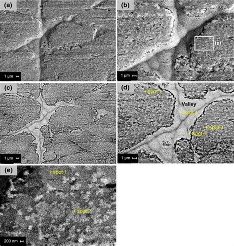 Secondary Electron Se Images Obtained At A Magnification And B