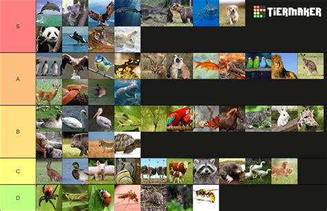 Tiere Tier List Community Rankings Tiermaker