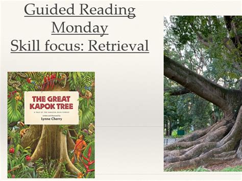 Guided Reading Whole Week The Great Kapok Tree Ks Teaching Resources