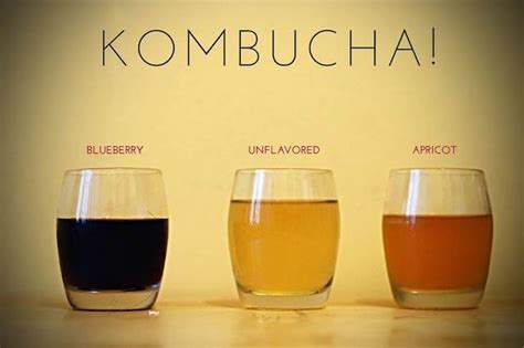 Kombucha Fermentation Science Meets Food