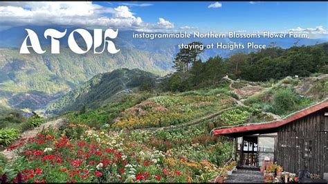 Atok Benguet Instagrammable Northern Blossoms Flower Farm Staying