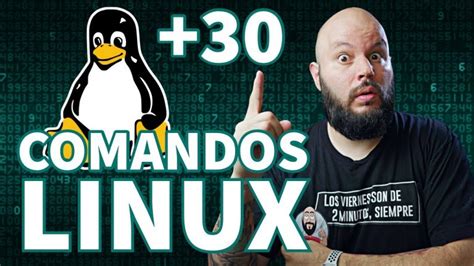 Comandos básicos de Linux para servidores La guía definitiva 2024