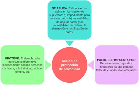 La Acci N De Protecci N De Privacidad En Bolivia