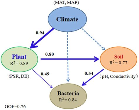 Frontiers Stair Step Pattern Of Soil Bacterial Diversity Mainly