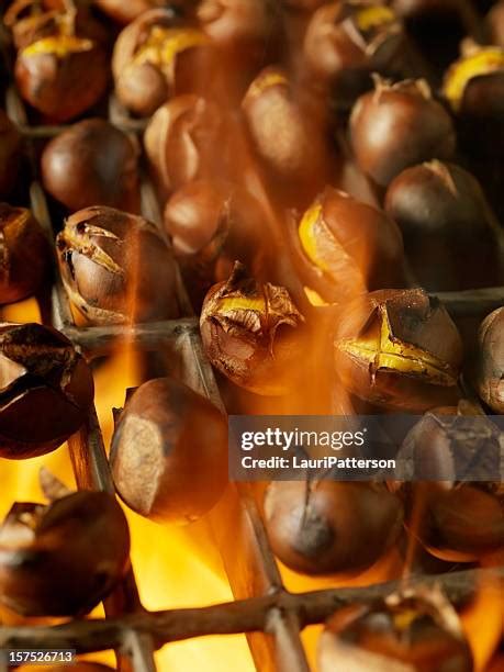 538 A Dark Chestnut Stock Photos High Res Pictures And Images Getty