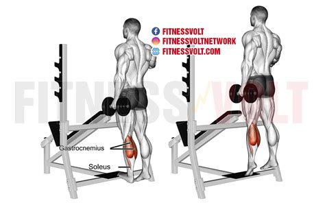 Standing Dumbbell One-Leg Calf Raise (Calves) ~ healthtasy.com