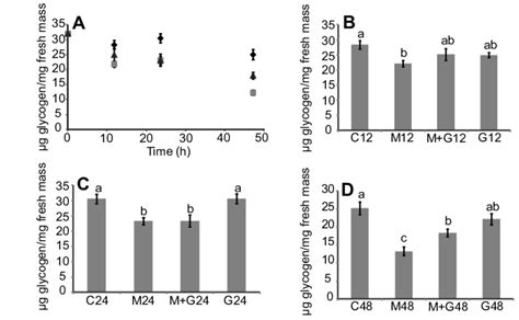 Glycogen As A Function Of Treatment Duration A Glycogen Content Was