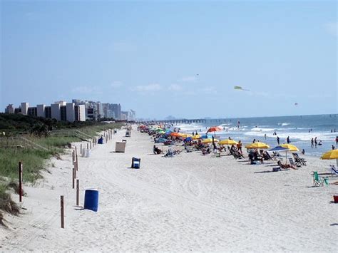 Myrtle Beach State Park Sc Top Tips Before You Go With Photos Tripadvisor