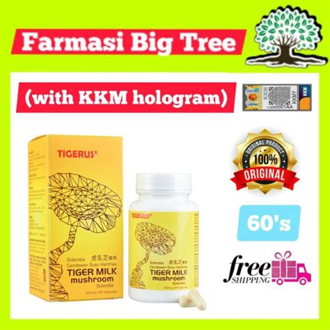 Probiotics Tigerus Tiger Milk Mushroom Sclerotia Mg Mg Sinus