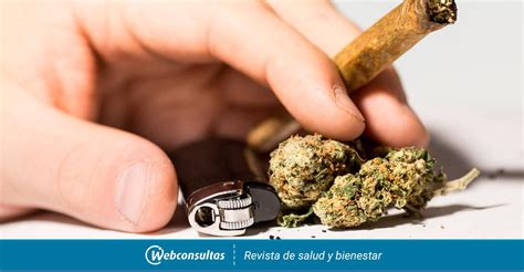 Desarrollan Un Potencial Tratamiento Para La Adicci N Al Cannabis