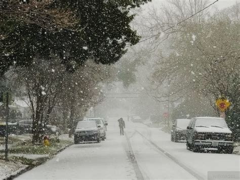 Snow in Georgia, Lowcountry on Jan. 3, 2018 – WSAV-TV