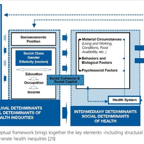 Depicts The Conceptual Framework Of The Csdh With All Its Elements As Download Scientific