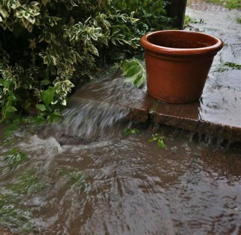 Aufräumen nach schwerem Unwetter WELT