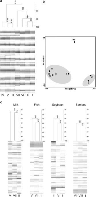 Pcr Dgge Fingerprinting Of Eubacterial And Yeast Communities Showed Download Scientific Diagram