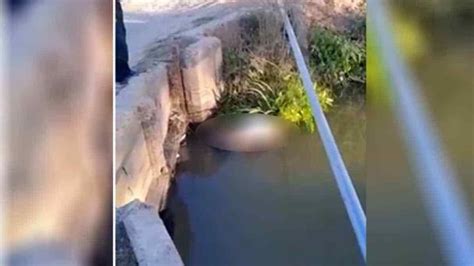 Diario del Yaqui Localizan cadáver flotando en las aguas de un canal