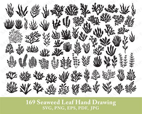 Seaweed Svg Seaweed Leaf Svg Seaweed Clipart Seaweed Silhouette Seaweed