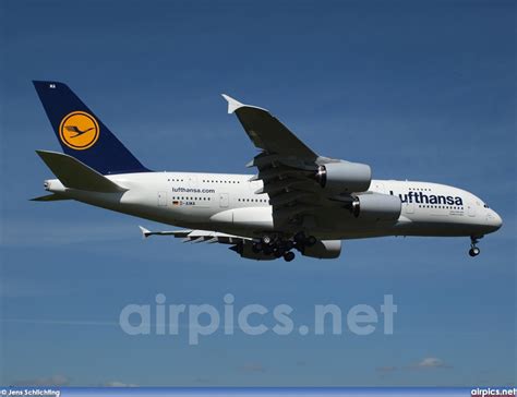 Airpics Net D AIMA Airbus A380 800 Lufthansa Large Size