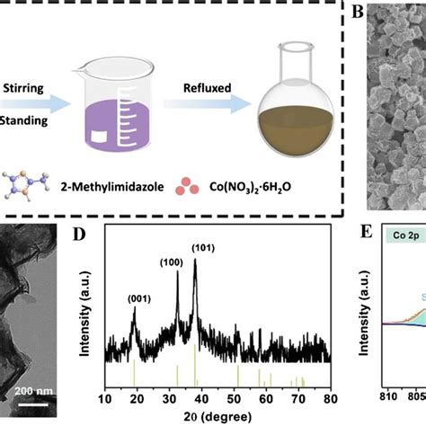 Steady State Kinetic Assays Of Co Oh A Reaction Rates Of Tmb At