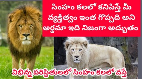 సింహం కలలో కనిపిస్తేsimham Kalalo Vastelion Dreamsdreams In Lion