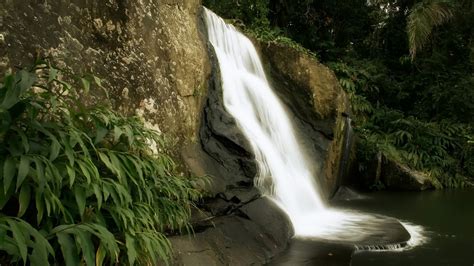 rocks, Nature, Jungle, Waterfall Wallpapers HD / Desktop and Mobile ...