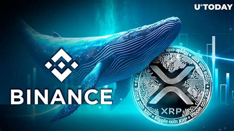 Xrp Whale Shifts Millions Of Xrp Tokens To Binance Heres Why