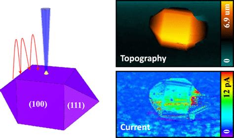 Nanoscale Reactivity Mapping Of A Single Crystal Boron Doped Diamond