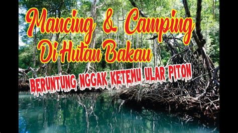 Mancing Dan Camping Di Hutan Bakau Youtube