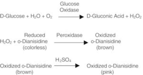 Sigma Aldrich Fine Chemicals Biosciences Glucose Oxidase From