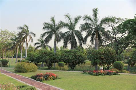 Hermoso Parque Indio Con Palmeras Y Parterres De Flores Imagen De