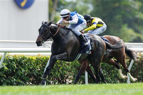 【香港国際競走】香港カップはロマンチックウォリアーが連覇 日本馬は香港ヴァーズ2着のゼッフィーロが最高着順｜【spaia】スパイア